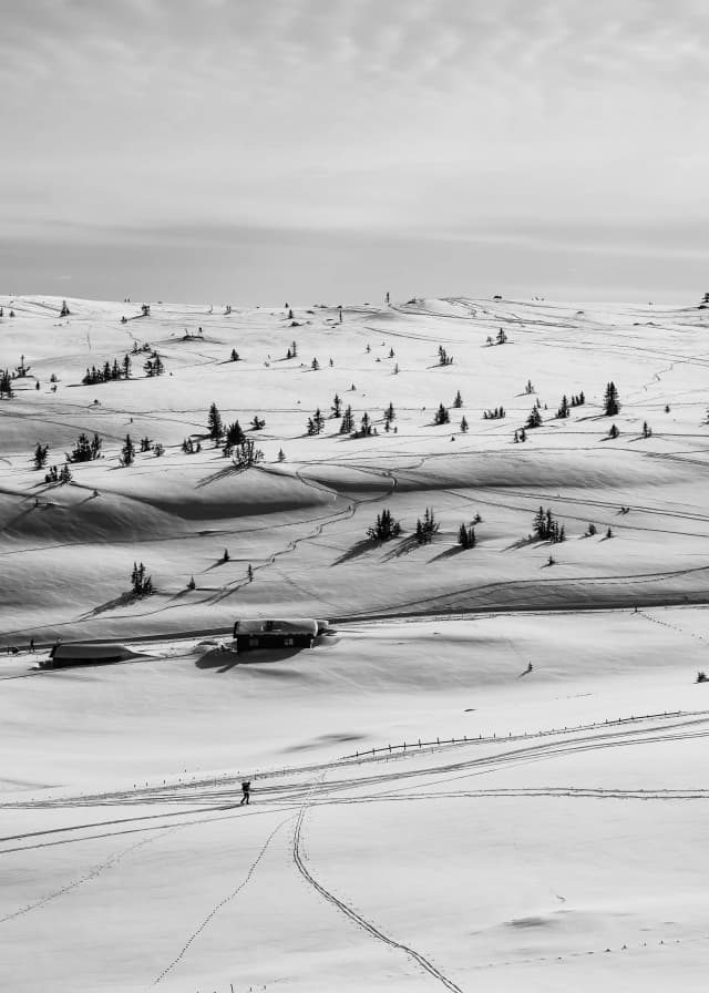 Silhouette von Statuen bei Sonnenuntergang für deine Bar